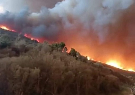 الجزائر تعلن التحكم في 80 بالمئة من الحرائق