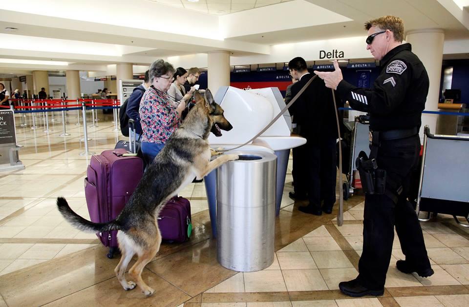 تشديد إجراءات الأمن بمطارات أمريكا بعد فشل اختبارات سرية