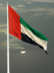 تنكيس العلم الإماراتي 3 أيام حداداً على وفاة العاهل السعودي