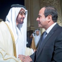 الإمارات تساهم في تحقيق الاكتفاء الذاتي لمصر من الأنسولين