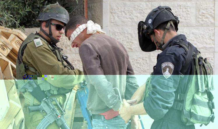 الإحتلال يعتقل 12 فلسطينياً بالضفة الغربية