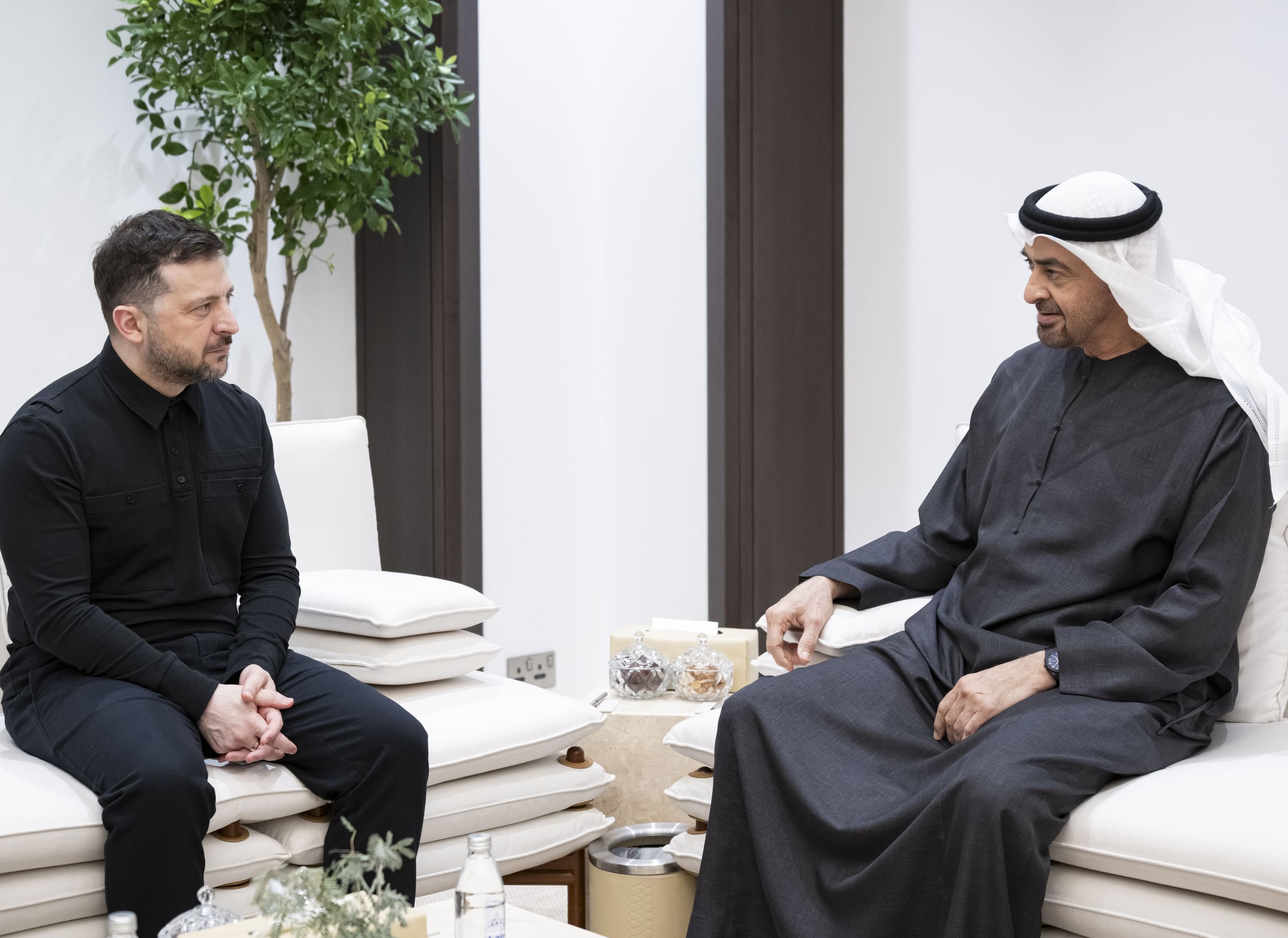 محمد بن زايد: الإمارات تتحلى بالحكمة ومستعدة للتصدي لأي تهديد